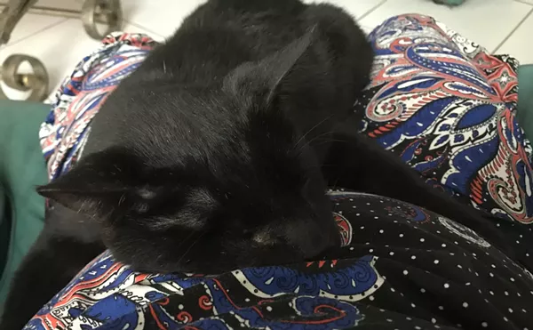 The Case of the Fatal Flea Bath