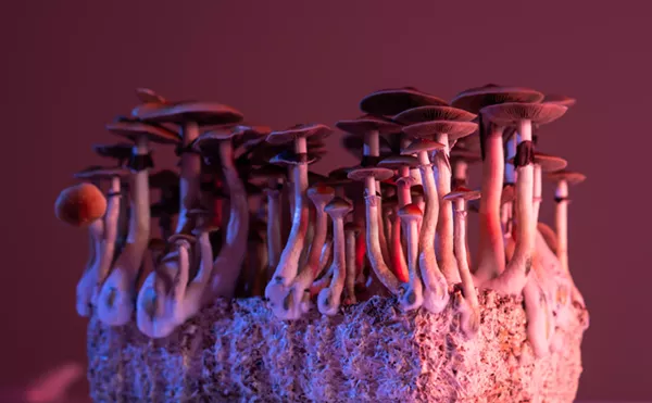 South Beach Murder Won't Stop Florida Push to Legalize Medicinal Psilocybin