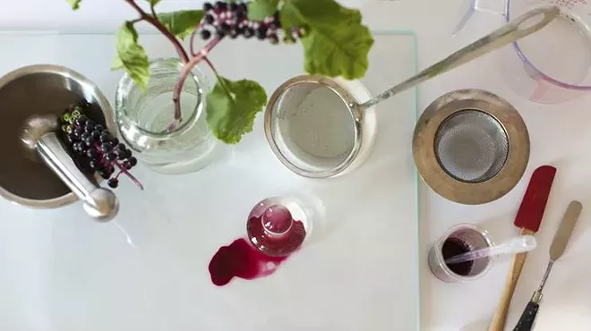 Plant Pigment Workshop