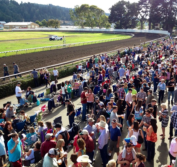 At the Ferndale racetrack on Saturday, Aug. 17, 2013. Wow, lots of bettin' people out there. - PHOTO BY HEIDI WALTERS
