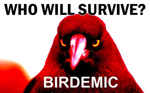 Birdemic - WHO WILL SURVIVE?
