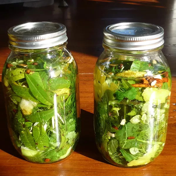 DIY Herbal Liqueur - PHOTO BY AMY STEWART