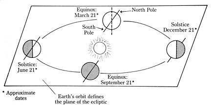 Celebrate the Solstice! | Field Notes | North Coast Journal