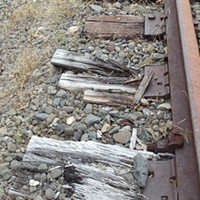 Environmental Groups Appeal Ruling in North Coast Railroad Authority Case