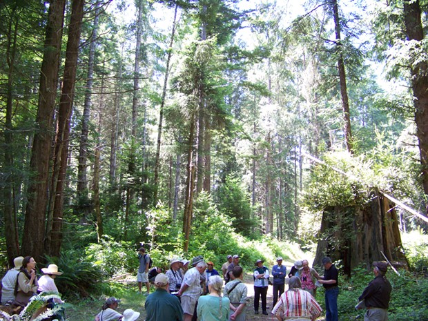 Eureka forester Jim Able holds court in the Van Eck Forest with members of the International Dendrology Society, who came from England, Belgium, France, The Netherlands, New Zealand, Germany, Singapore, Argentina, Australia and the U.S.A. - PHOTO BY HEIDI WALTERS