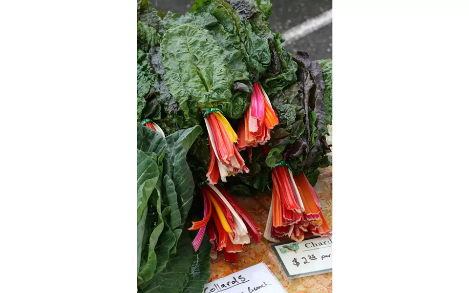 Rainbow chard - PHOTO BY BOB DORAN