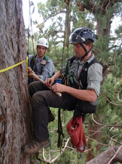 redwood_researchers_photo_courtesy_save_the_redwoods_league.jpg
