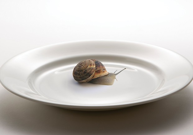Slow Food: The Humble Snail