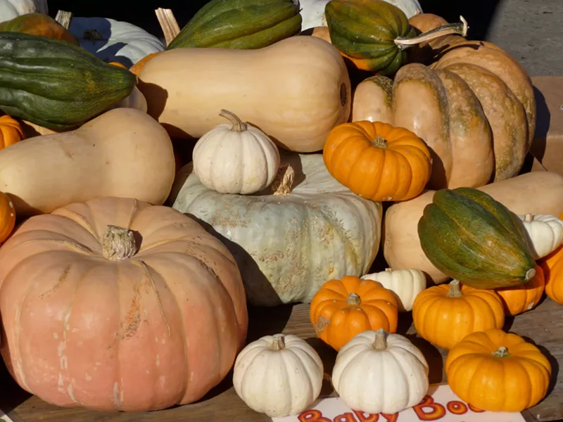 Squash at the Farmers' Market - PHOTO BY SIMONA CARINA