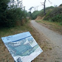 The Hammond Trail