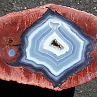 'Thunder-egg' Agate collected by Mike and Cece Novak.