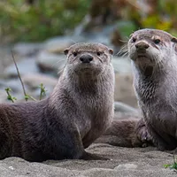 Wild: Talia Rose Photographs the South Fork of the Eel River