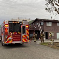 Dog Rescued From Eureka Structure Fire
