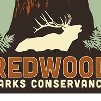 John Mayer Donates $10K to Redwood Parks Conservancy
