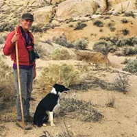 Ode to the Wooden Walking Stick