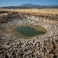 California Ranchers Intentionally Violated an Emergency Water Order. Now Lawmakers Want to Triple the Fines