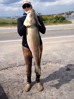 Easter's partner Anne Doherty with a striped bass she speared. - COURTESY OF ANNE DOHERTY
