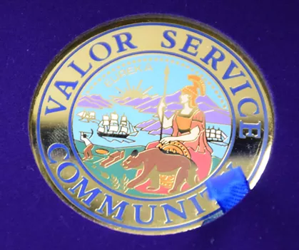 The Valor Service Award. - THADEUS GREENSON