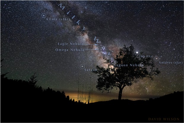 An old, stunted pear tree abides in its nightly vigil beneath the Milky Way. The tree lives in Southern Humboldt County, California, but the far ridge line is in Mendocino County. - DAVID WILSON