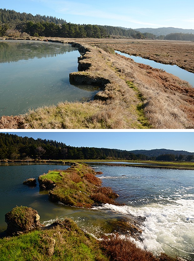 The dike at Fields Landing before and after a breach during a king tide in 2012. - PHOTOS BY ALDARON LAIRD