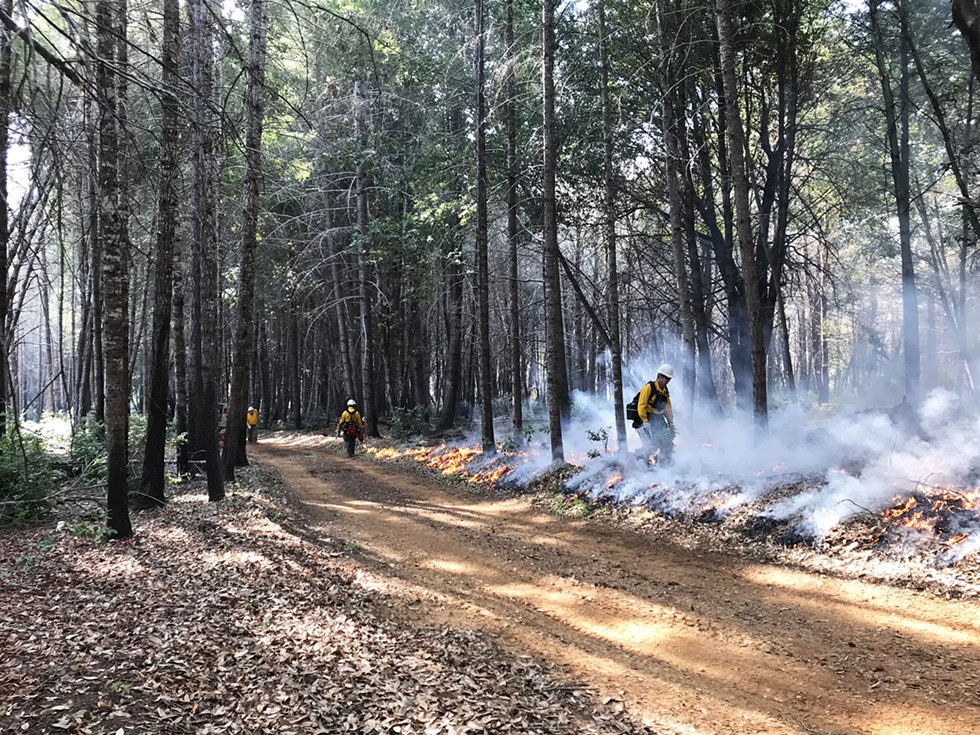 A recent controlled burn near Orleans. - PHOTO BY LAURIE WIGHAM.