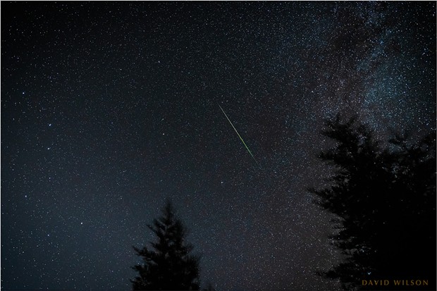Still from a time-lapse sequence of the Perseid meteors from Fickle Hill Road on Aug. 11. - PHOTO BY DAVID WILSON