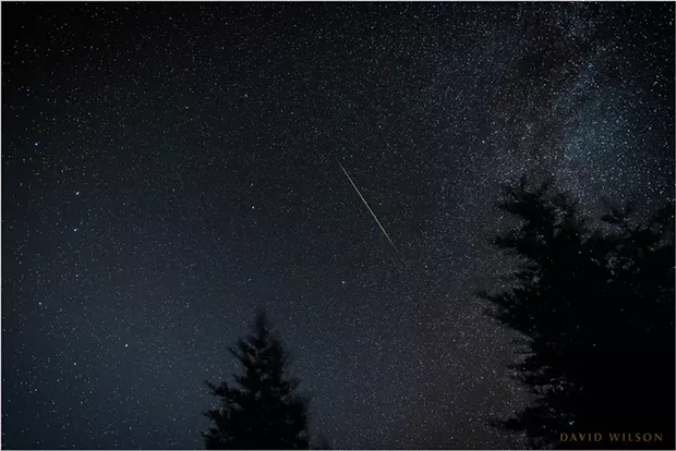 Still from a time-lapse sequence of the Perseid meteors from Fickle Hill Road on Aug. 11 - DAVID WILSON