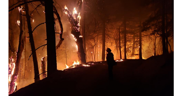 Firefighter near Ruth Lake on the Hopkins Fire, in the August Complex, the largest fire in California History. It has burned more than 726,000 acres. - TOM B. STOKESBERRY III