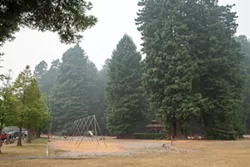 Trees at Sequoia Park appear shrouded in fog as smoke from wildfires in Oregon and California blankets the North Coast. - PHOTO BY MARK MCKENNA