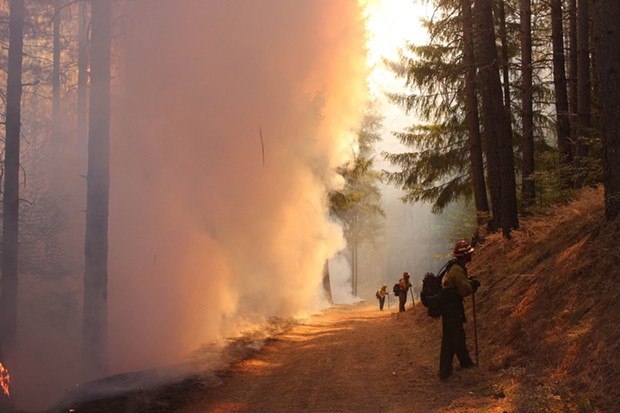 Firefighters hold the line during a burning operation on the northwest flank of the August Complex North Zone on Sept. 26, 2020. These firefighters are positioned with the job of looking into the unburned forest while watching for spot fires created by embers floating across the control line in the wind. This way they can quickly respond to these spotfires to contain them. - PHOTO CREDIT: MIKE MCMILLAN/USFS.