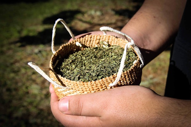 A basket of tobacco during a ceremony at a traditional Tolowa coastal village. - WINGSPAN MEDIA