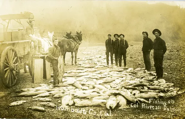 Salmon fishers along the Eel River with their catch, circa 1912. - HUMBOLDT COUNTY PHOTOGRAPH COLLECTION, CAL POLY HUMBOLDT UNIVERSITY LIBRARY