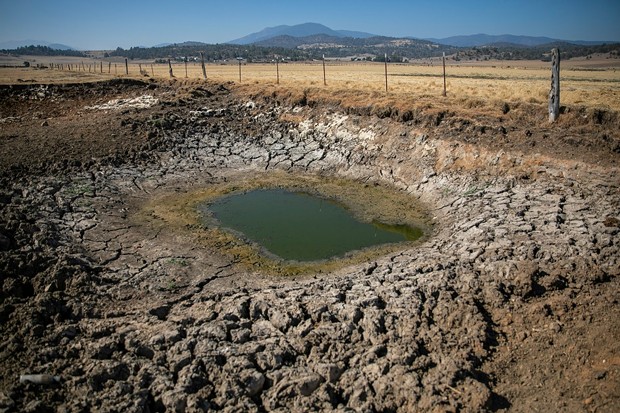 A dried out stock pond on a Siskiyou County ranch on Aug. 29, 2022. - PHOTO BY MARTIN DO NASCIMENTO, CALMATTERS