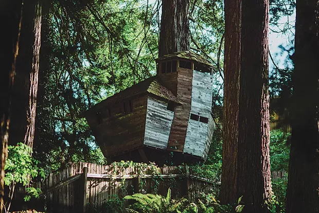 “Tree house,” 6:40 p.m. - LEÓN VILLAGÓMEZ