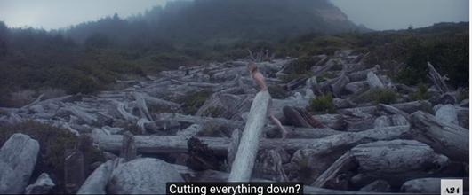 WOODSHOCK TRAILER