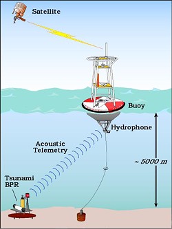 A graphic showing the buoy system that tracks tsunamis. - NOAA