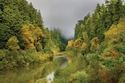 south-humboldt-co.-au14-23.jpg