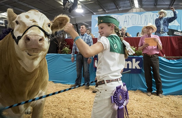 Jocie Hague, of the Arcata Bottoms 4-H club, showed off her Grand Champion Hereford-Charolais cross to attract bids for auctioneer Lee Mora during the Junior Livestock Auction at the Humboldt County Fair on Sunday, Aug. 27. - MARK LARSON