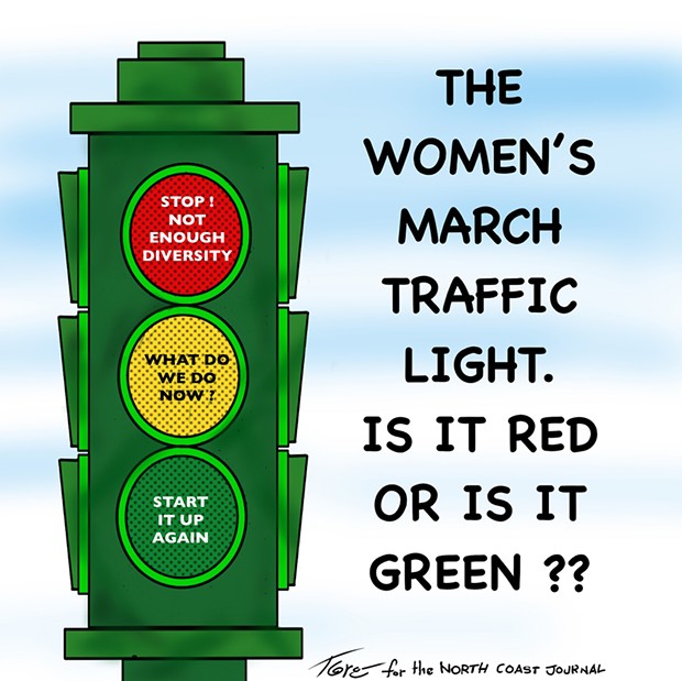 The Women's March Traffic Light