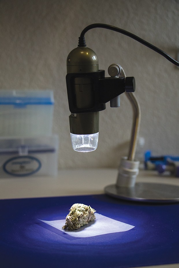 With $30 million in state research grants, cannabis is due to get a closer look.