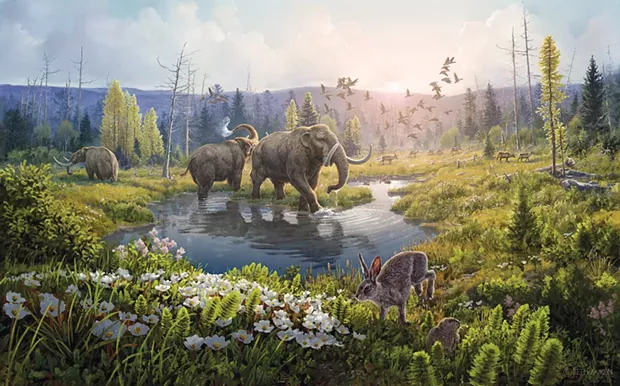 Two million years ago, a warmer climate in northern Greenland, 600 miles south of the North Pole, supported a rich ecosystem of flora and fauna. This artist's impression is based on snippets of DNA extracted from permafrost in what today is a harsh polar desert. Image by Beth Zaiken, based on work by Eske Willerslev and Kurt H. Kj&aelig;r of the University of Copenhagen.