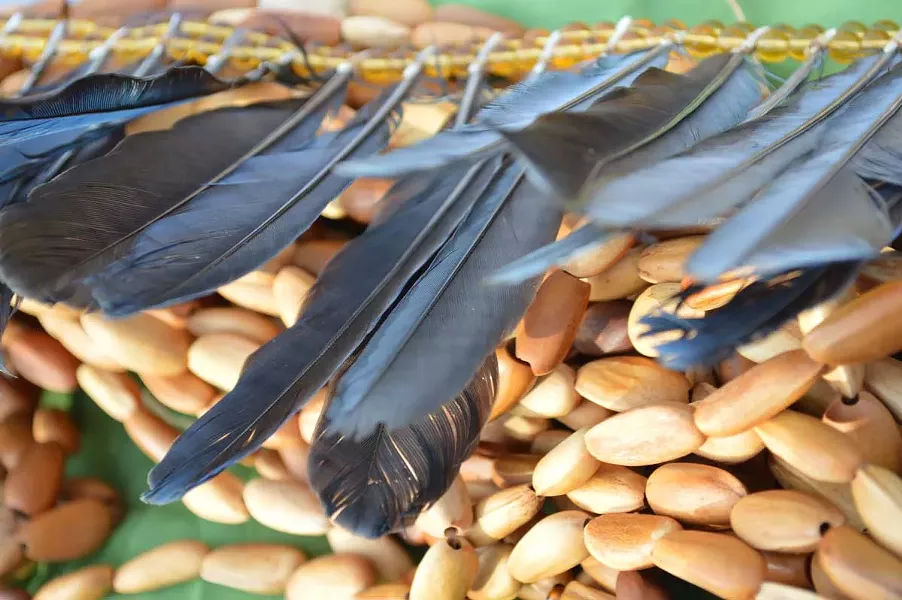 Steller's jay veil and pine nut necklaces worn during the ceremony. - PHOTO BY CUTCHA RISLING BALDY
