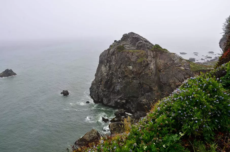 Hike out to the point at Patrick’s Point State Park. - DREW HYLAND