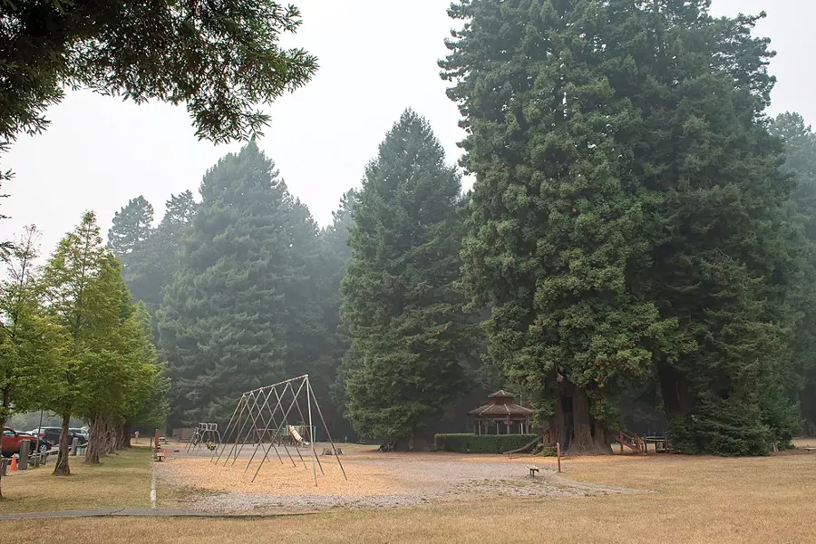 Trees at Sequoia Park appear shrouded in fog as smoke from wildfires in Oregon and California blankets the North Coast. - PHOTO BY MARK MCKENNA