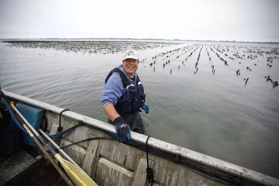 Captain Sebastian on a Humboldt Bay Oyster Tour - ROCKY ARROYO