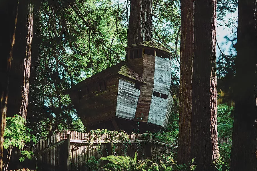 “Tree house,” 6:40 p.m. - LEÓN VILLAGÓMEZ