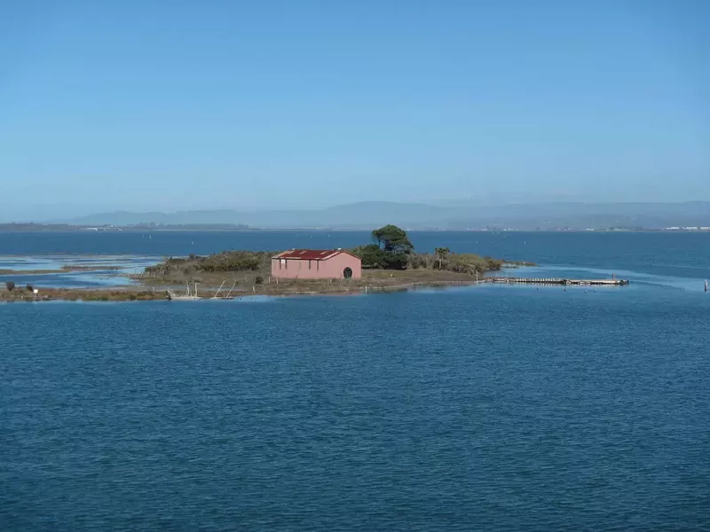 A view of Indian Island's Tuluwat site during a king tide. - THOMAS DUNKLIN