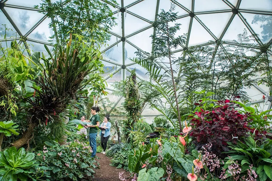 An indoor Eden at HSU. - COURTESY OF HUMBOLDT STATE UNIVERSITY
