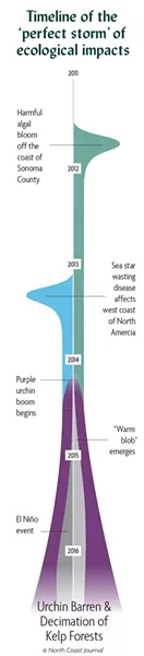 Timeline of the 'perfect storm' of ecological impacts on the kelp forests and abalone population. Source: California Department of Fish and Wildlife - JONATHAN WEBSTER