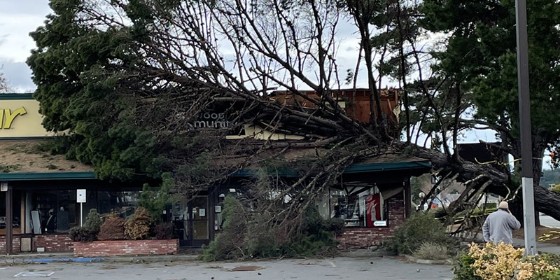 A tree blew down Redwood Community Pharmacy in the McKinleyville Shopping Center this morning.